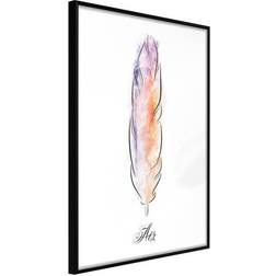 Arkiio Affisch Colourful Feather [Poster] 30x45 Poster